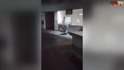 VIRAL VIDEO: ભૂખ્યો મગર રેસ્ટોરન્ટના રસોડામાં ઘૂસી આવ્યો! વીડિયો થયો વાયરલ