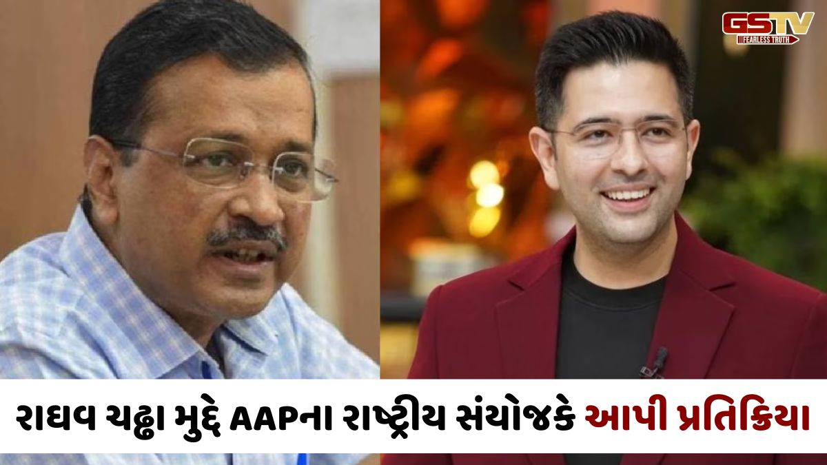 'પંજાબીઓ સાથે ભાજપે ફરી દગો કર્યો', રાઘવ ચઢ્ઢા મુદ્દે કેજરીવાલે આપી પ્રતિક્રિયા; સંજય સિંહે પણ કર્યા શાબ્દિક પ્રહાર