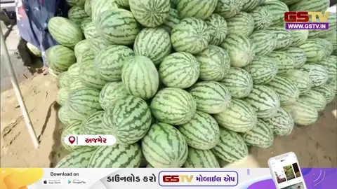 VIDEO: ઉનાળાની ગરમા શરૂ થતાં જ અજમેરના બજારોમાં તરબૂચના વેચાણમાં મોટો વધારો