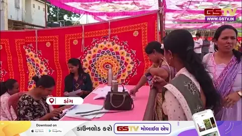 VIDEO : Dang માં નિર્વિઘ્ને મતદાન કરાવવા તંત્રનો એક્શન પ્લાન, પોલીસ સુરક્ષા વચ્ચે EVM રવાના