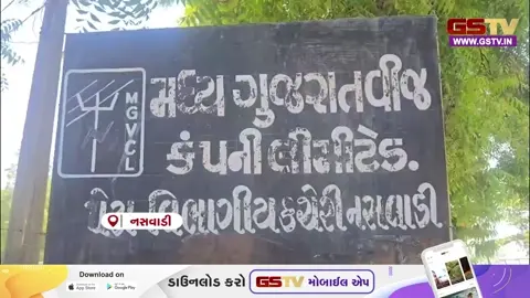VIDEO: નસવાડી તાલુકામાં પંચાયત કચેરીમાં તંત્રની બેદરકારી, વીજ મીટર કે વાયરીંગ વગર જ સોલાર સિસ્ટમ લગાવી દીધી!