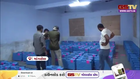 VIDEO: જૂનાગઢના માંગરોળમાં જિલ્લા-તાલુકા પંચાયતની ચૂંટણી યોજાશે, મતદાન મથકો પર ચુસ્ત પોલીસ બંદોબસ્ત