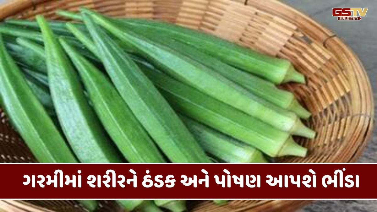 Health Tips : ઉનાળામાં સ્વાસ્થ્યનો ખજાનો છે ભીંડા, આ ગંભીર સ્વાસ્થ્ય સમસ્યાનો છે રામબાણ ઈલાજ!