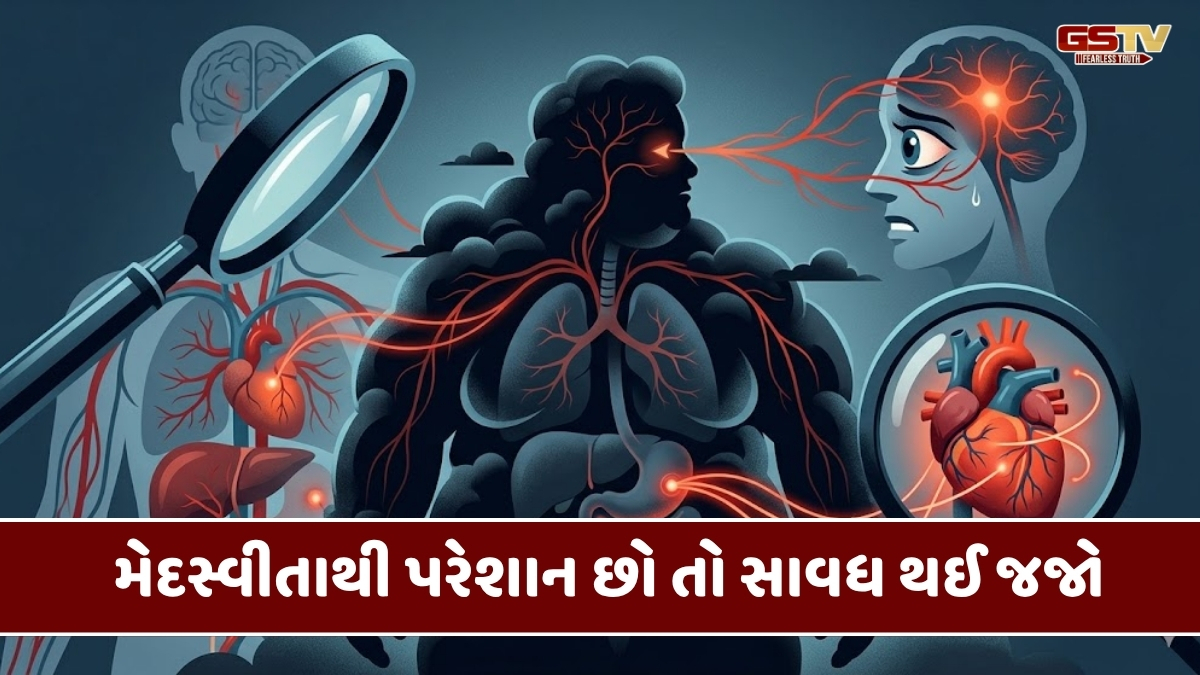 Health News : મેદસ્વીતા બની 'સાઇલન્ટ કિલર': આંખોથી લઈને હૃદય સુધી ખતરો, સ્ટડીમાં મોટો ખુલાસો