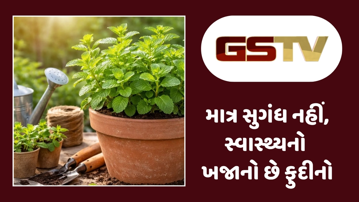 Health Tips : પેટ રહેશે ઠંડુ અને લૂ રહેશે દૂર! જાણો ઉનાળામાં ફુદીનાનો ઉપયોગ કરવાના અદભૂત ફાયદા