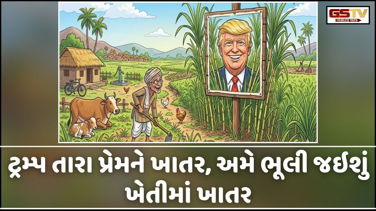 Business Plus: ટ્રમ્પ તારા પ્રેમને ખાતર, અમે ભૂલી જઇશું ખેતીમાં ખાતર