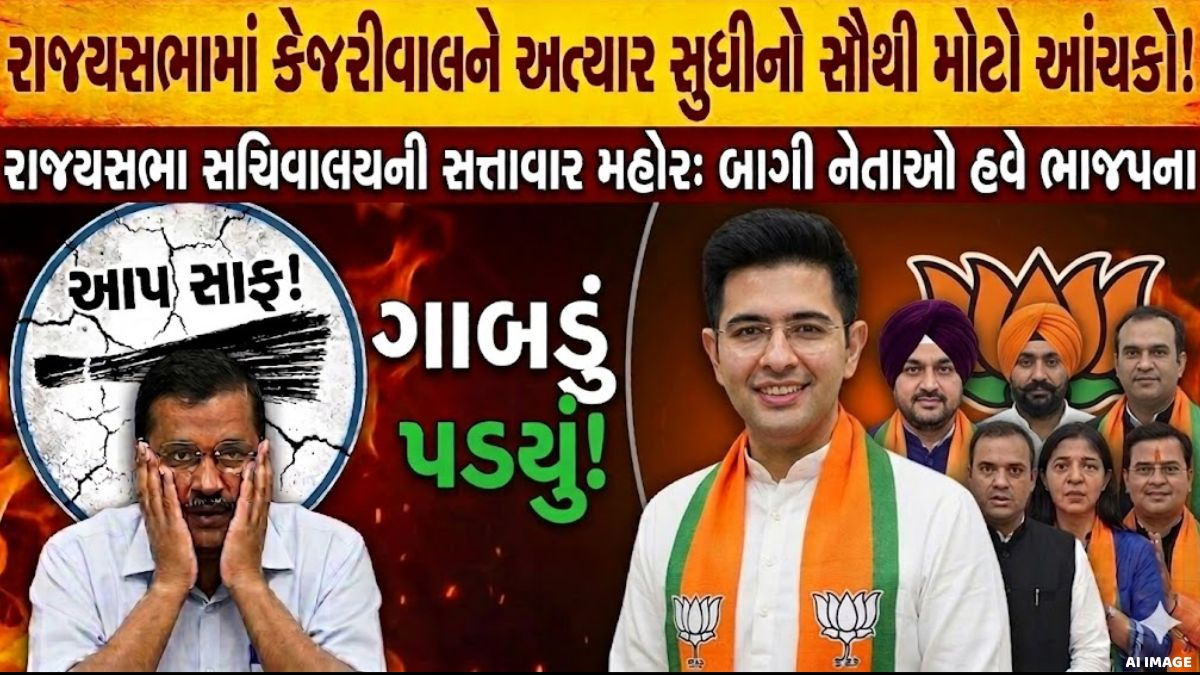 અરવિંદ કેજરીવાલને મોટો ઝટકો; રાઘવ ચઢ્ઢા સહિતના તમામ સાતેય બાગી સાંસદોને ભાજપમાં જોડાવાની મંજૂરી મળી
