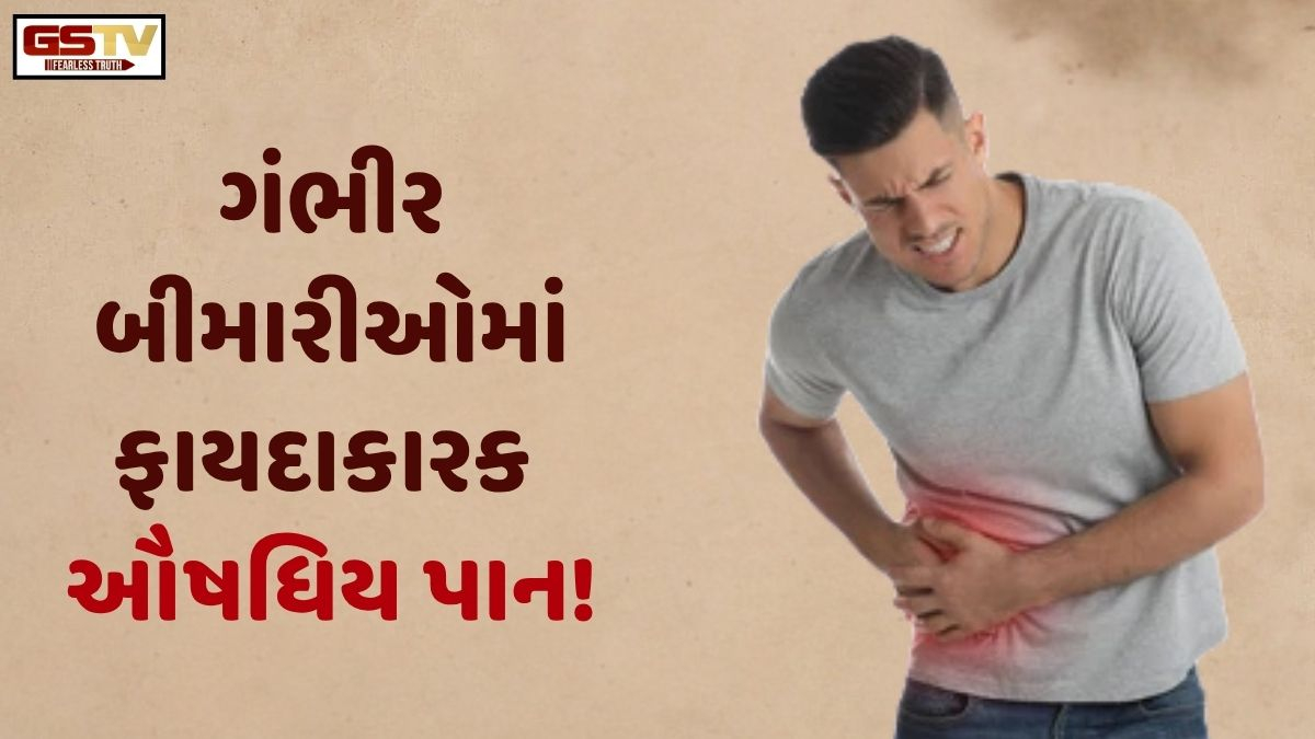 Sahiyar: ડાયાબિટિસથી લઈને બ્લડ પ્રેશર સુધીની બીમારીમાં ફાયદાકારક છે ઔષધિય પાન!