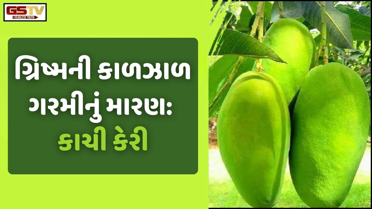 Sahiyar: ગરમીમાં પોષક તત્વોનો ભંડાર એટલે કાચી કેરી! જાણો, કેટલા છે ફાયદા