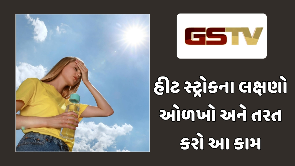 Health Tips : ભીષણ ગરમીમાં હીટ સ્ટ્રોકથી કેવી રીતે બચવું? આ ટિપ્સ તમને રાખશે સુરક્ષિત