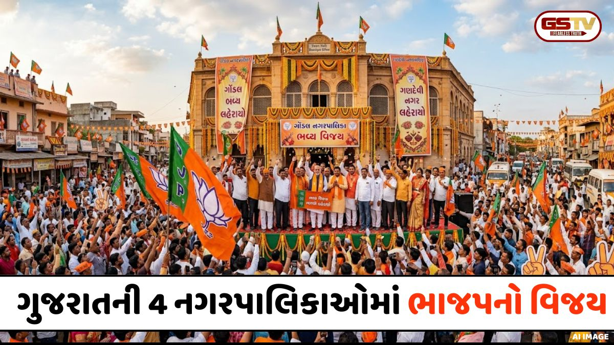 Gujarat નગરપાલિકા ચૂંટણી પરિણામ: ગણદેવી અને ગોંડલમાં વિપક્ષના સૂપડા સાફ, ધોળકા અને વિરમગામમાં કમળ ખીલ્યું