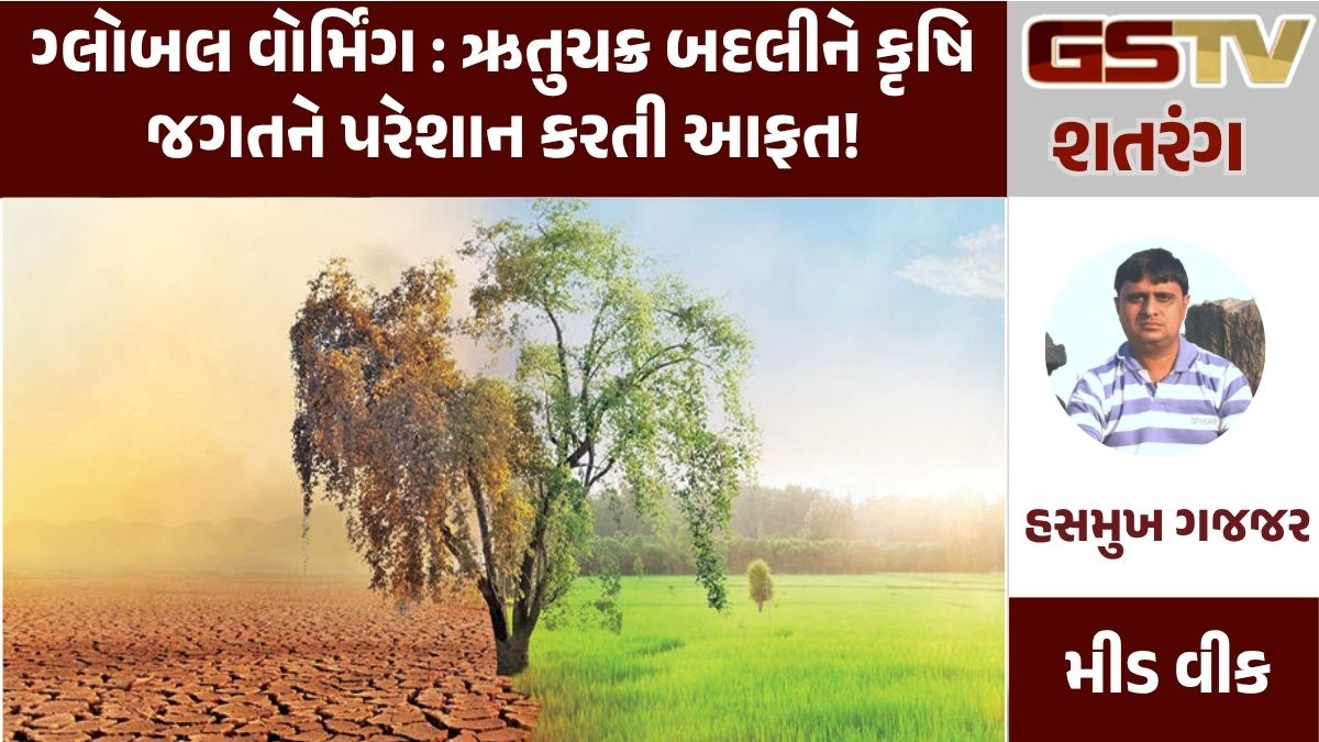 GSTV શતરંગ: ગ્લોબલ વોર્મિંગ : ઋતુચક્ર બદલીને કૃષિ જગતને પરેશાન કરતી આફત!