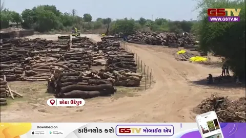 VIDEO: Chhota Udaipur / હેરણ નદીના કિનારે લાખોના લાકડાના ઢગલા, ચોમાસામાં તણાઈ જવાની ભીતિથી તંત્ર સામે સવાલો