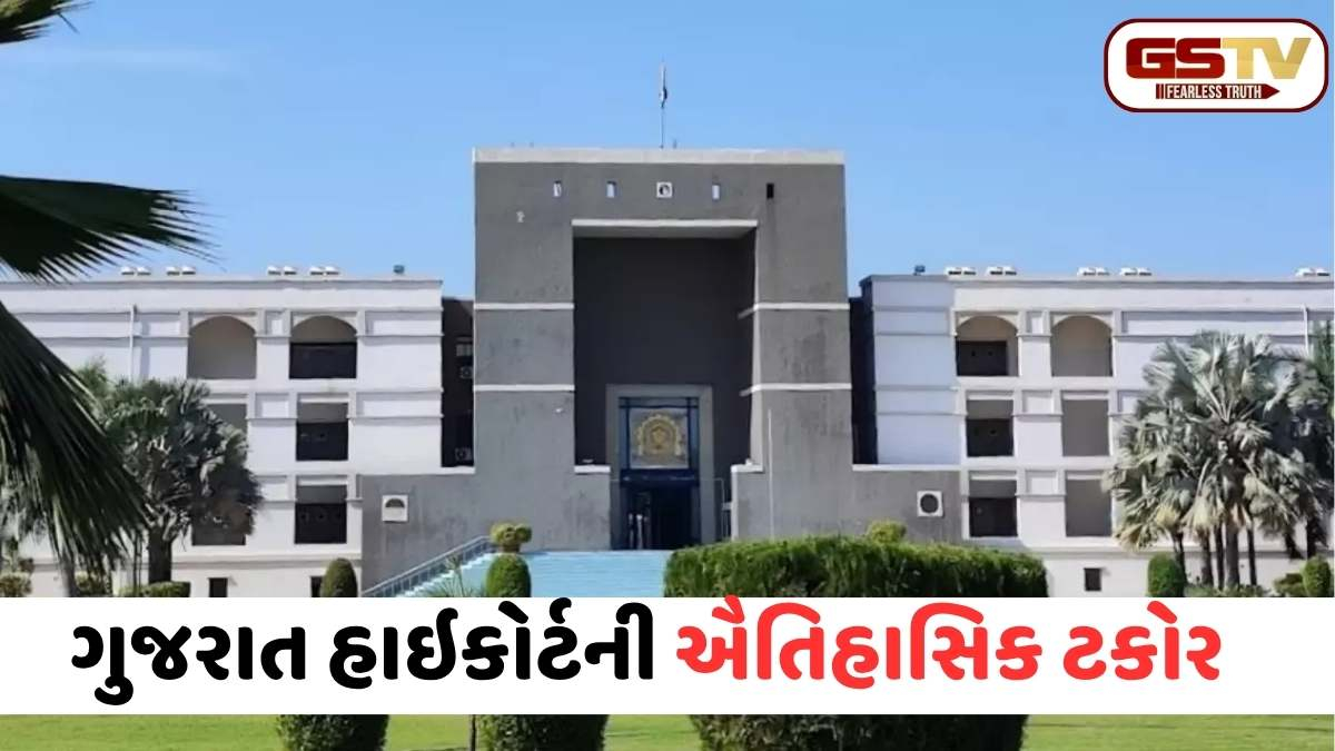 ગુજરાત હાઈકોર્ટ લાલઘૂમ: 'તમારા અધિકારીઓ કોર્ટથી ઉપર છે?', વડોદરા કલેક્ટર અને મહેસૂલ સચિવને ખખડાવ્યા!