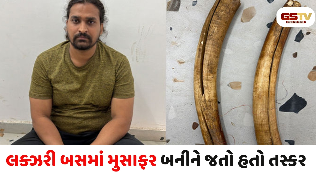 Gandhinagar news: ચિલોડા પોલીસે લાખોના હાથીદાંત સાથે યુવકને દબોચ્યો, તસ્કરીનું મોટું નેટવર્ક હોવાની આશંકા