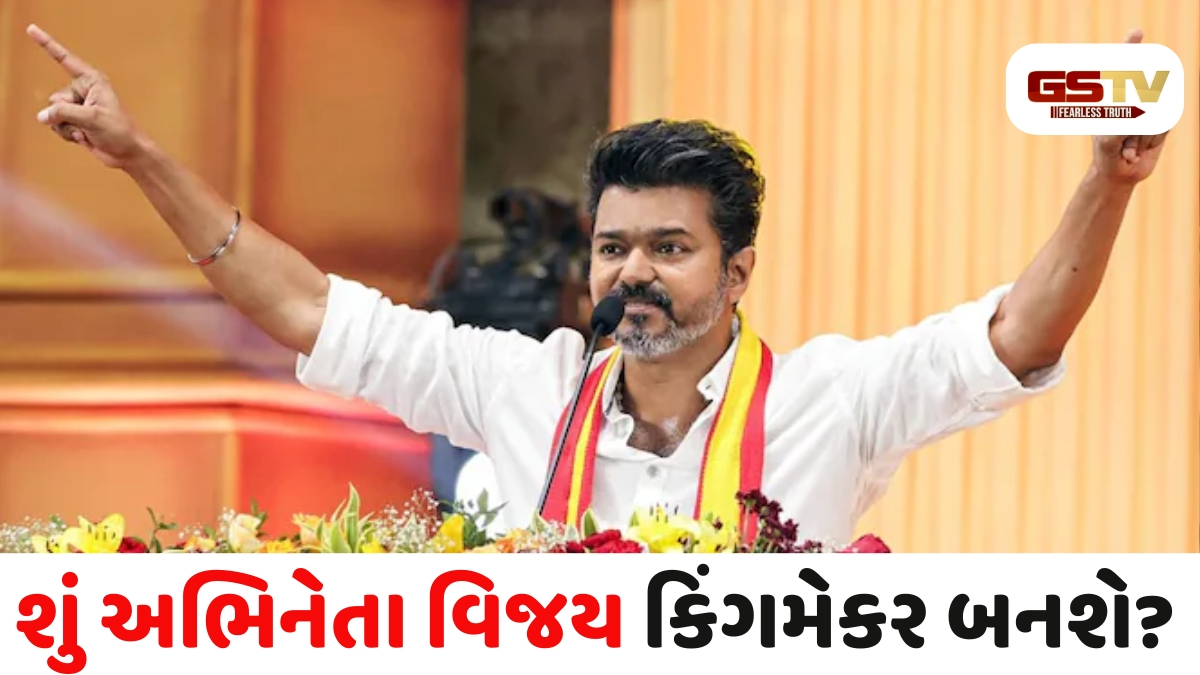 Tamilnadu Exit Poll: વિજય રાજકારણના નવા સુપરસ્ટાર તરીકે ઉભરી આવ્યા, શું તેઓ MGR અને NTRના ઇતિહાસનું પુનરાવર્તન કરશે?