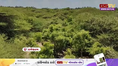 VIDEO : ડિજિટલ બનશે જમીનના નકશા, રામેશ્વરમમાં વન વિભાગ જમીન વિવાદો ઉકેલવા DGPS ટેકનોલોજીનો આશરો