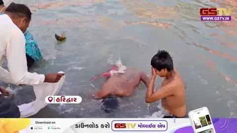 VIDEO : બુદ્ધ પૂર્ણિમાએ હરિદ્વારમાં આસ્થાનું ઘોડાપૂર, હર કી પૌરી પર લાખો ભક્તોએ ગંગામાં લગાવી પુણ્યની ડૂબકી