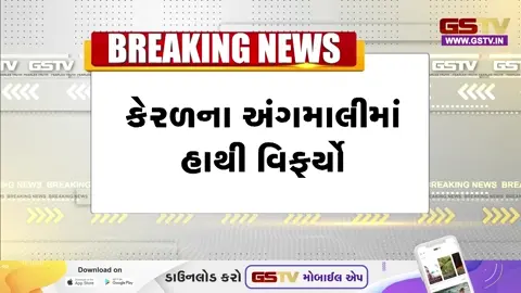 VIDEO: કેરલમમાં મંદિરના ઉત્સવ દરમિયાન ગંભીર દુર્ઘટના; હાથી બેકાબૂ થતાં દોડધામ મચી, એકનું મોત