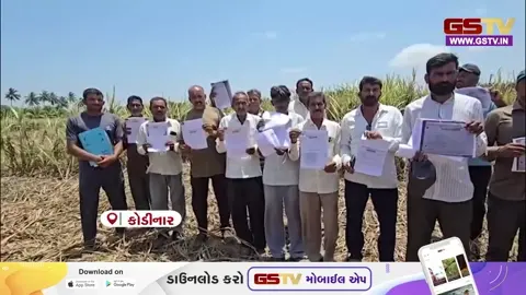 VIDEO: કોડીનારમાં શેરડી પકવતા ખેડૂતો પર આફત આવી પડી, 12 વર્ષ બાદ શરૂ થયેલી સુગર ફેક્ટરી અચાનક બંધ