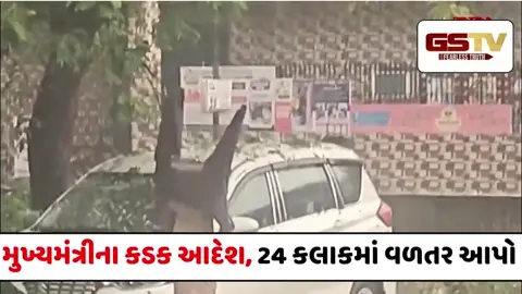 VIDEO : યુપીમાં આકાશી આફતનું તાંડવ, બે દિવસમાં વરસાદ અને વીજળી પડતા 24 ના કરુણ મોત