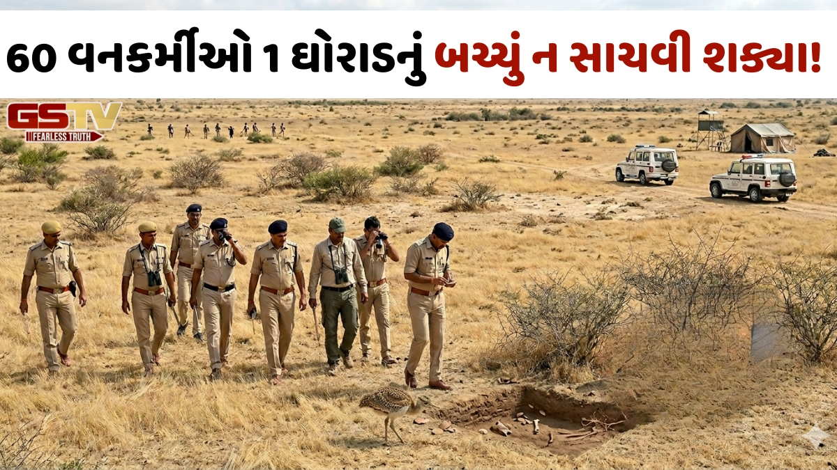 Kutch News: PMના ડ્રીમ પ્રોજેક્ટનો ફિયાસ્કો; 60 વનકર્મીઓ મળીને 1 ઘોરાડનું બચ્ચું પણ ન સાચવી શક્યા!