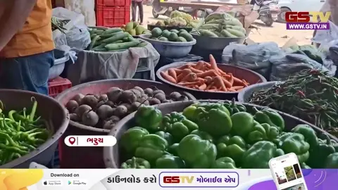 VIDEO: ભરૂચ / આકરા ઉનાળા વચ્ચે લીંબુના ભાવમાં તેજી, 170થી 200 રૂ. પ્રતિ કિલો સુધી પહોંચ્યો ભાવ