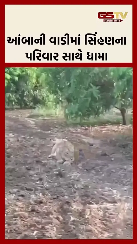 VIDEO: હાથમાં તલવાર સાથે BJPના હારેલા ઉમેદવારની તસવીર વાયરલ