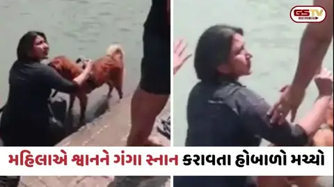 Viral Video: હરિદ્વારમાં મહિલાએ શ્વાનને ગંગા સ્નાન કરાવ્યું, લોકોએ ટોકતા મહિલા ભડકી