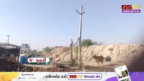 VIDEO:  પાટડીમાં નર્મદાની પાઇપલાઇન તોડી પાણીચોરીનું કૌભાંડ સામે આવ્યું
