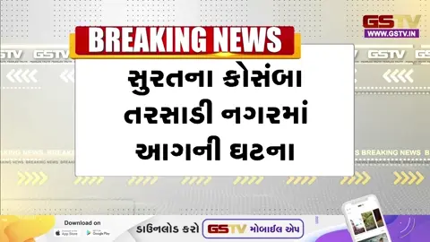 VIDEO: Surat / તરસાડીના મહારાણા પ્રતાપ લેક ગાર્ડનમાં મોડી રાત્રે ભીષણ આગ, સદનસીબે કોઈ જાનહાનિ નહીં