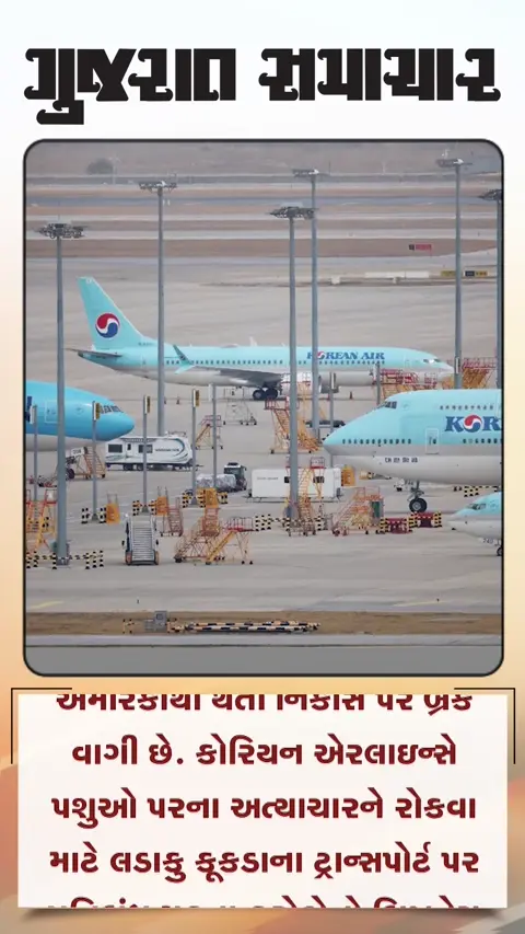 કૂકડા લડાવવાનો અમેરિકાનો ખેલ ઠપ ફિલિપાઇન્સમાં થતી નિકાસ અટકી પડી