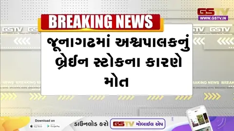 VIDEO: જુનાગઢમાં લગ્ન પ્રસંગમાં ઘોડીને નચાવતો યુવક અચાનક ઢળી પડ્યો, અકાળે મોતથી પરિવારજનોનું હૈયાફાટ રૂદન