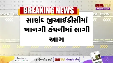 VIDEO: સાણંદ GIDCની કંપનીમાં લાગેલી આગ પર કાબૂ મેળવાયો, લાખોનો સામાન બળીને ખાખ
