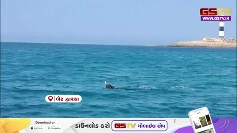VIDEO: બેટ દ્વારકાના દરિયામાંથી મળી આવ્યા ચોંકાવનારા પુરાવા, સમુદ્રના પેટાળમાં સુનિયોજિત પ્રાચીન નગરના અવશેષો