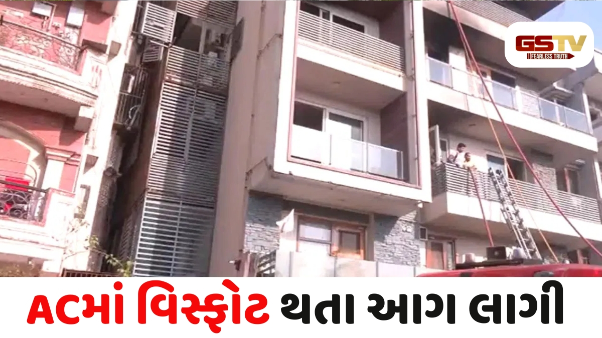 Delhi news: દિલ્હીના વિવેક વિહારમાં ભીષણ અગ્નિકાંડ, AC બ્લાસ્ટ થતા 8 લોકો જીવતા ભડથું