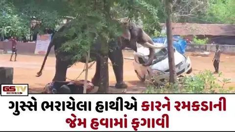 VIRAL VIDEO: ગુસ્સે ભરાયેલા હાથીએ કારને રમકડાની જેમ હવામાં ફગાવી, 2 લોકોએ જીવ ગુમાવ્યા
