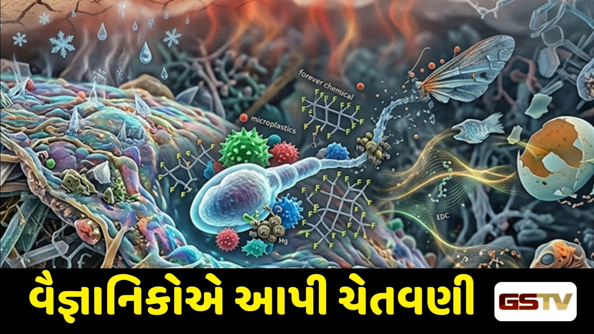 Health Tips : પૃથ્વી પર સર્જાશે મહાસંકટ! 'સાયલન્ટ ફર્ટિલિટી ક્રાઈસિસ' શું છે? શું જેનાથી વંશવેલો અટકી જવાનો ડર?