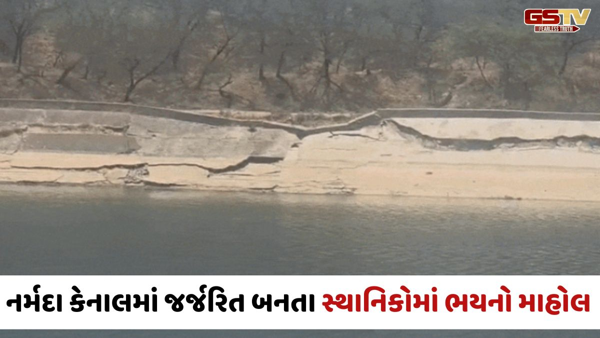 Chhota Udaipur જિલ્લાના મોરખલા નજીક નર્મદા મુખ્ય કેનાલ બિસ્માર હાલતમાં, સ્થાનિકોએ સમારકામની કરી માંગ