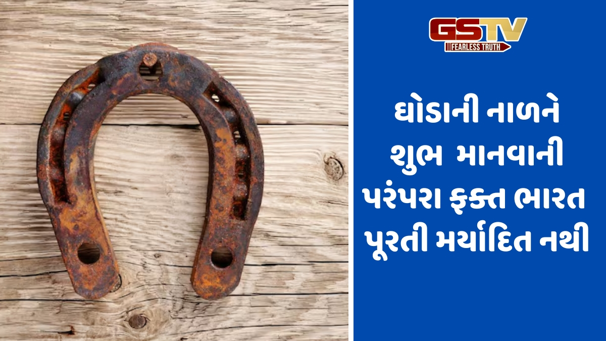 ઘોડાની નાળમાં વધ્યો છે લોકોનો રસ, જાણો વાસ્તુ માન્યતાઓમાં છુપાયેલા દાવાઓ અને વાસ્તવિકતાઓ વિશે
