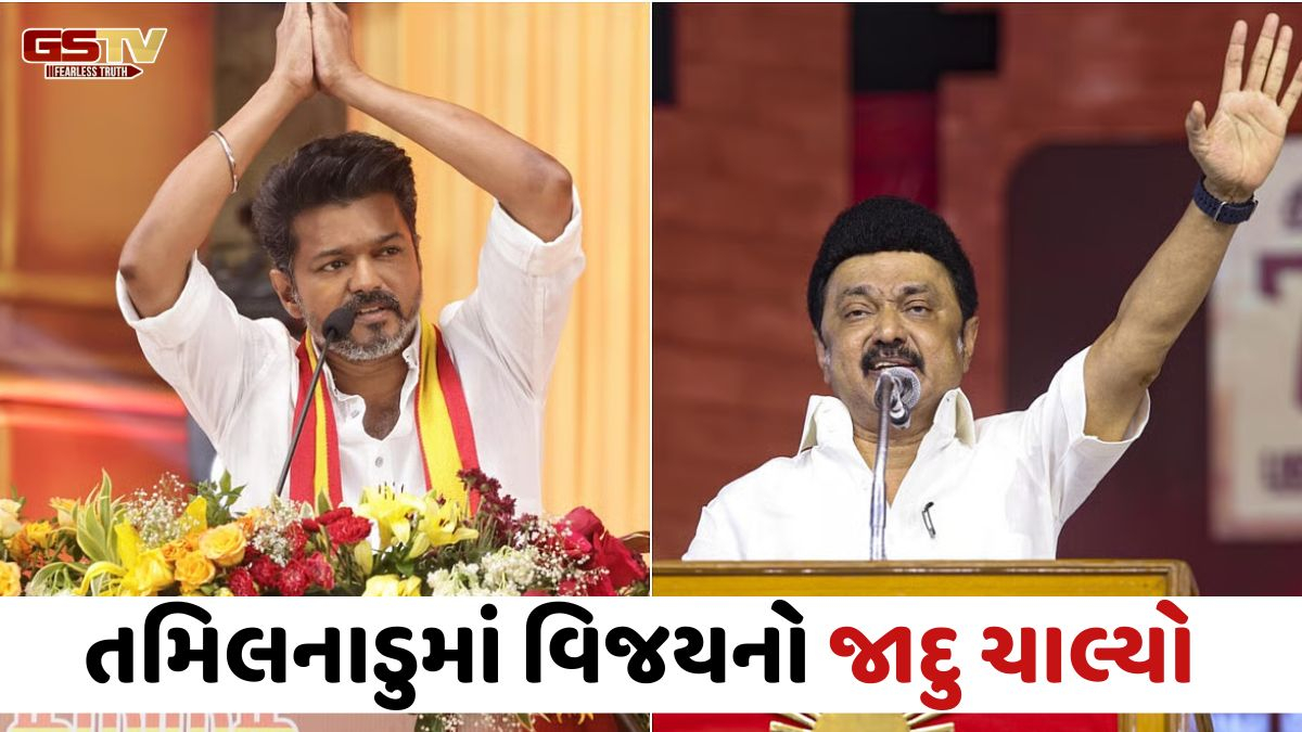 સ્ટાલિનને હિન્દી ભાષા અને સનાતનનો વિરોધ નડ્યો; વિજય બેરોજગારીનો મુદ્દો ઉઠાવી યુવાઓને આકર્ષવામાં સફળ રહ્યા