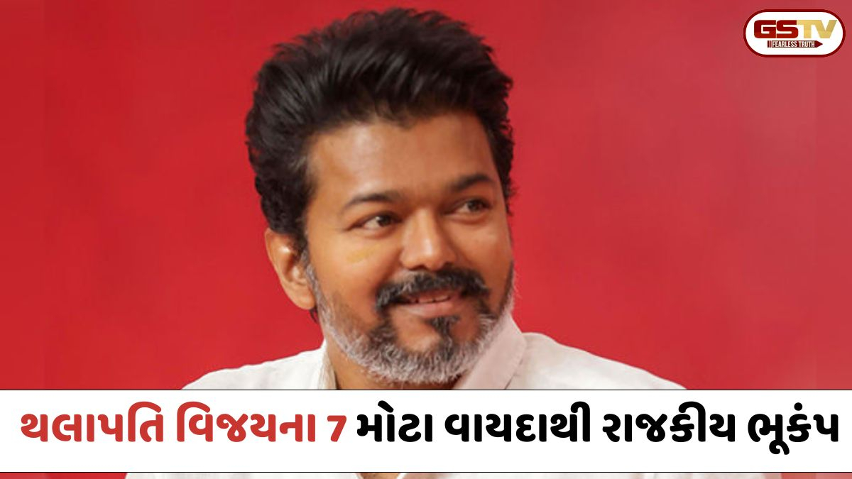 થલાપતિ વિજયનો માસ્ટરસ્ટ્રોક: દર મહિને ₹2500, મફત ગેસ સિલિન્ડર... આ 7 વાયદાઓના કારણે તમિલનાડુમાં રાજકીય ભૂકંપ