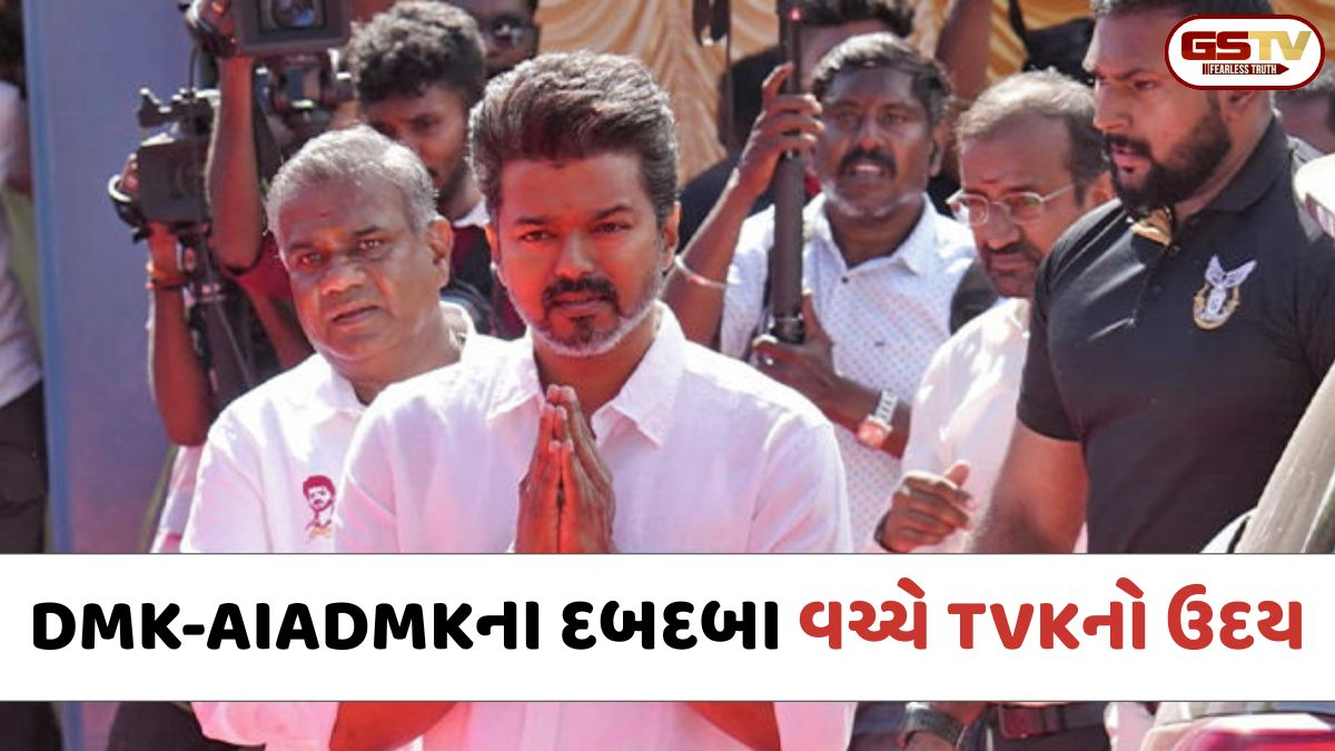 રજનીકાંત અને કમલ હાસન જે ન કરી શક્યા તે વિજયે કરી બતાવ્યું: DMK-AIADMKના દબદબા વચ્ચે TVKનો ઉદય