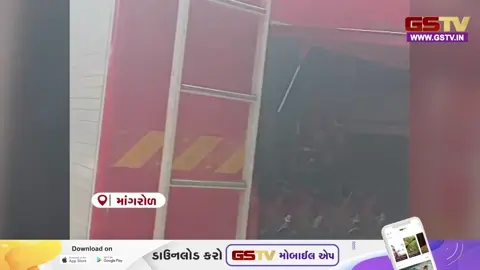 VIDEO: Surat / માંગરોળમાં વન વિભાગ લાલઘૂમ; પરવાનગી વગર લીલા વૃક્ષો કાપતા રેલવેની રૂ. 467 કરોડની કામગીરી અટકાવી