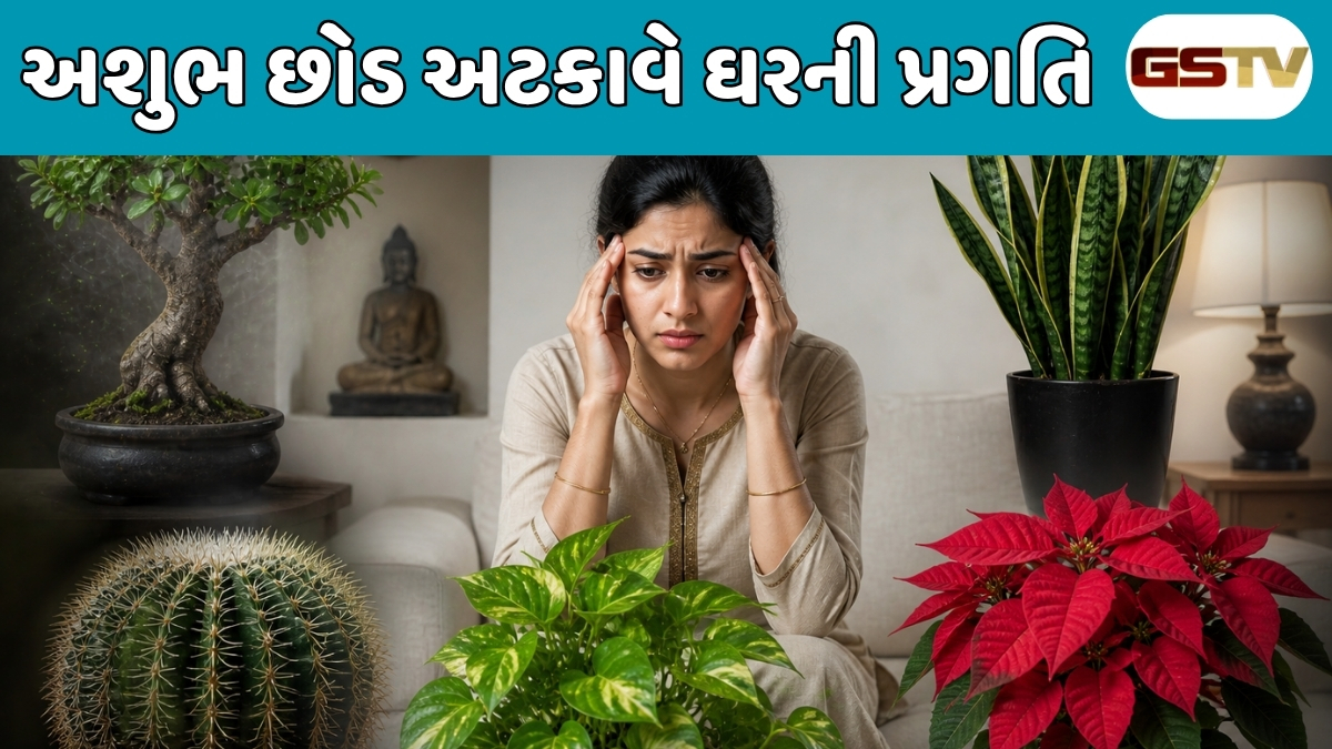 Vastu Tips : ઘરની સુખ-શાંતિ છીનવી શકે છે આ 5 છોડ! ભૂલેચૂકે પણ આંગણામાં ન વાવતા