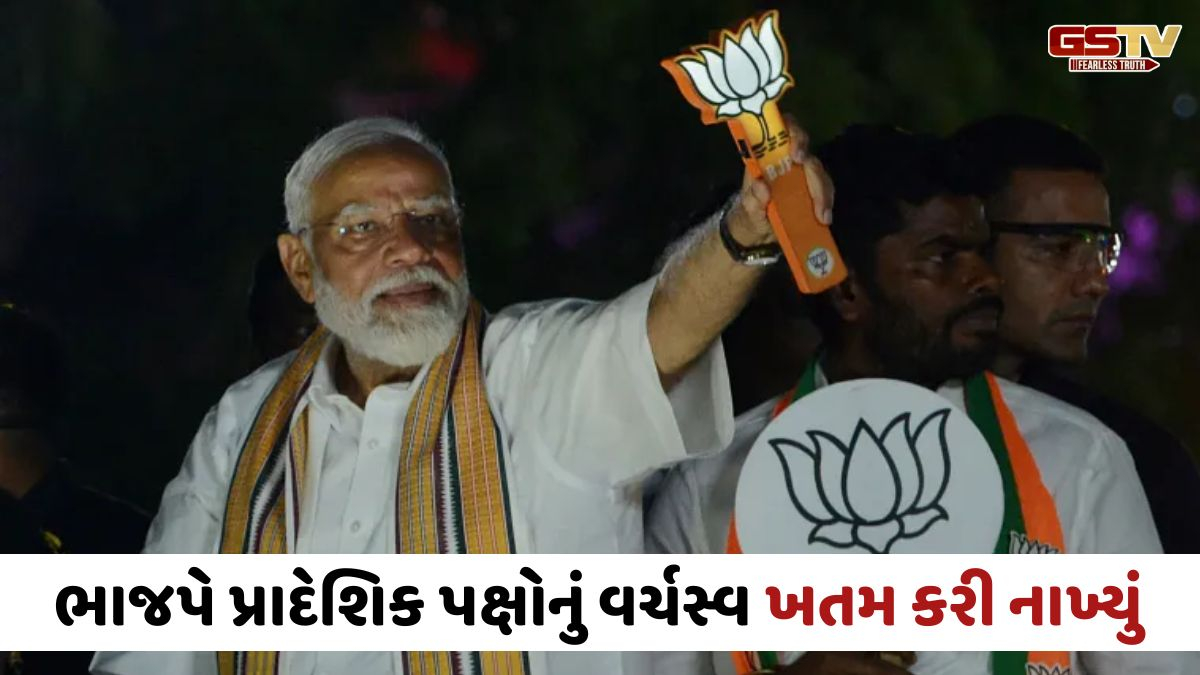 દેશની 78 ટકા વસ્તી પર NDAનું શાસન, વિધાનસભાની ચૂંટણીઓમાં જીત બાદ ભાજપનો રાજ્યસભામાં વધશે દબદબો