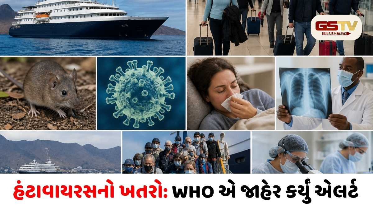 Hanta virus: WHOએ  જોહાનિસબર્ગ જતી ફ્લાઇટના 88 મુસાફરોની શોધખોળ શરૂ કરી