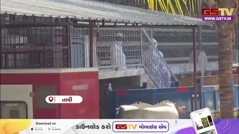 VIDEO: તાપીની સરહદે આવેલા નવાપુરના પોલ્ટ્રી ફાર્મમાં બર્ડ ફ્લૂનો કેસ નોંધાયો, મહારાષ્ટ્ર પશુપાલન વિભાગ દ્વારા સઘન કાર્યવાહી હાથ ધરાઈ