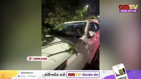 VIDEO: અમદાવાદમાં ભારે પવનથી વિશાળ વૃક્ષ કાર પર પડ્યું; શહેર ભાજપ પ્રમુખનો આબાદ બચાવ, ડ્રાઈવર ઈજાગ્રસ્ત