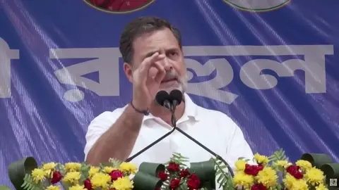 VIDEO: રાહુલ ગાંધીએ ભાજપ પર લગાવ્યો ગંભીર આરોપ, 